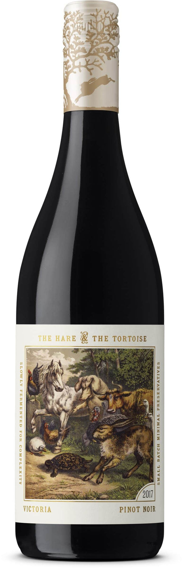 Hare & Tortoise Pinot Noir