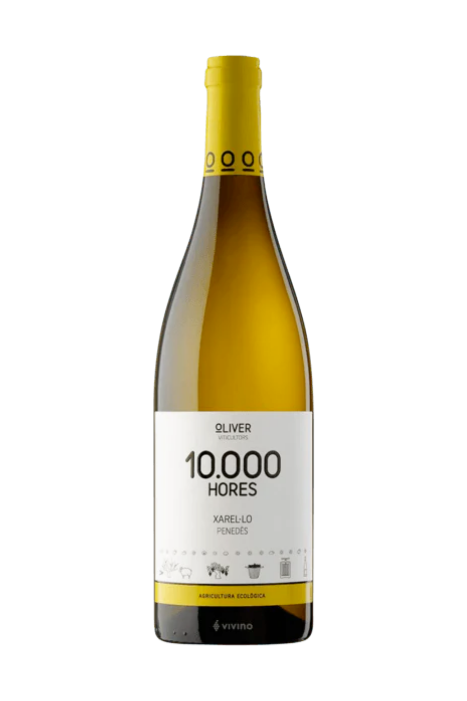 Oliver 10,000 Hores Xarel-lo – Verre Wine Bar