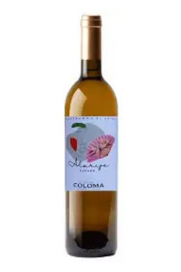 Coloma Alarije Dorado