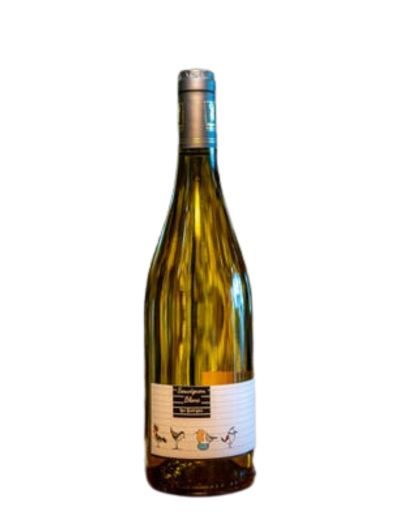 Paris Simoneau Les Georges Sauvignon Blanc- August 2025 White Wine Somm Tasting