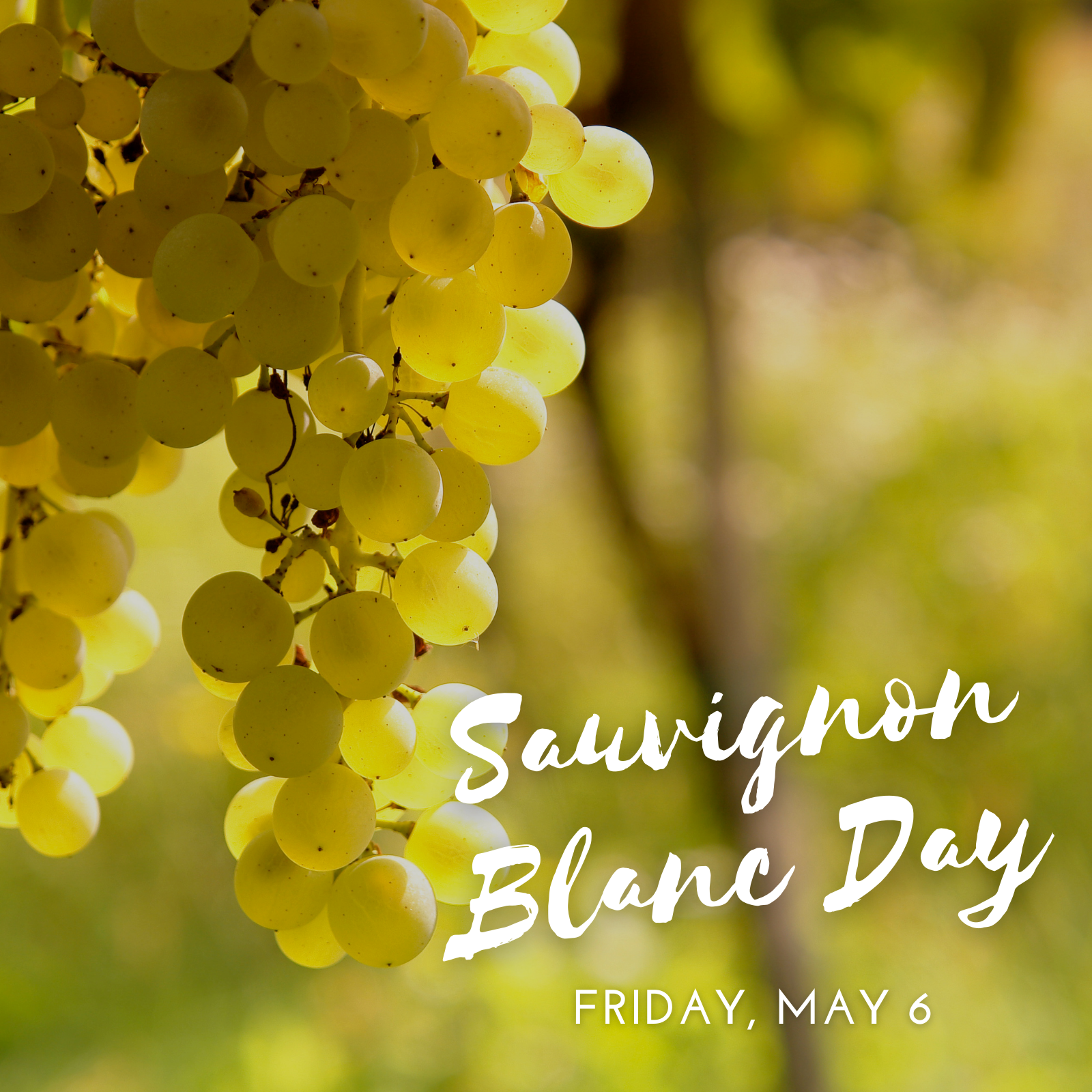 Orchard Lane Sauvignon Blanc – Verre Wine Bar